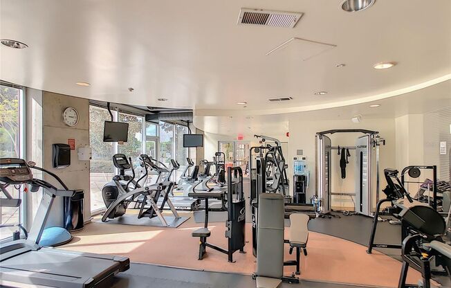 1 bed, 1 bath, $1,850