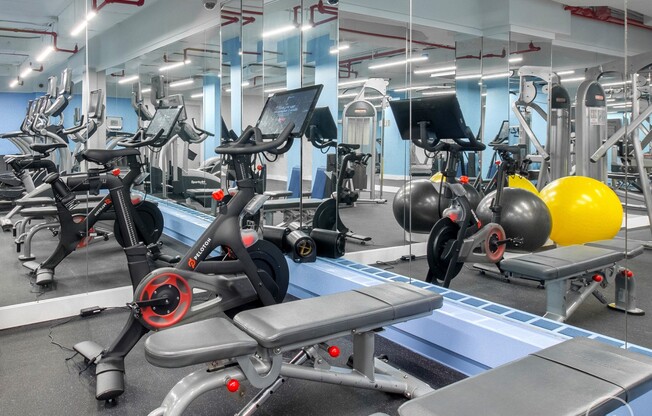 1 bed, 1 bath, $6,600, Unit 18A