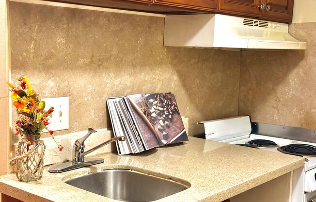 Studio, 1 bath, 350 sqft, $1,195, Unit 102