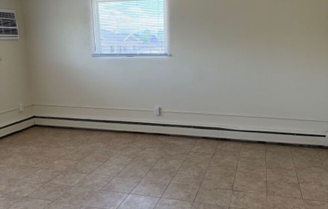 1 bed, 1 bath, 500 sqft, $1,000, Unit 3715-206