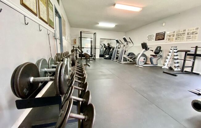 1 bed, 1 bath, $2,500, Unit Unit 227