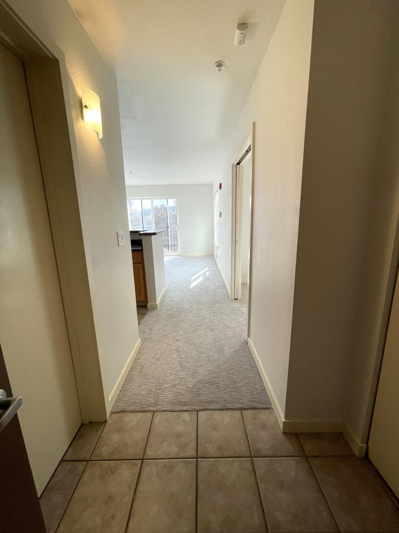 1Bd/1Ba Seattle Condo