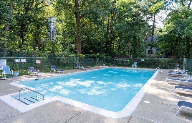 1 bed, 1 bath, $1,800, Unit Apt 1204