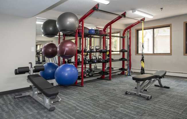 Exercise Balls and Equipment Racks