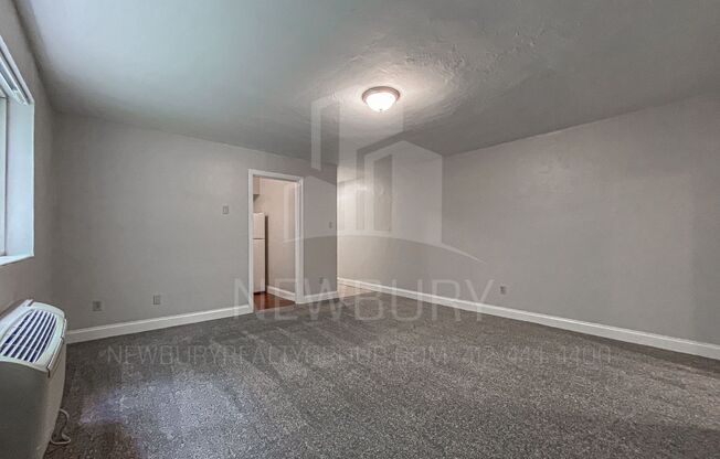 1 bed, 1 bath, 520 sqft, $699, Unit 309-06