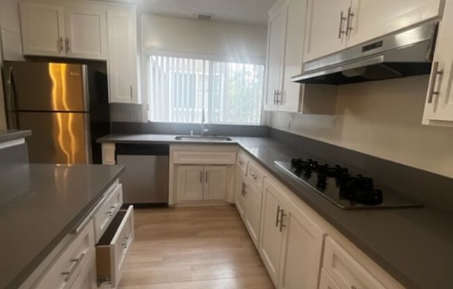 1 bed, 1 bath, $2,495, Unit 1