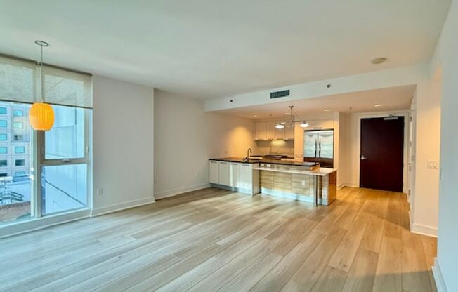 2BR 2BA @ The BLU in SOMA/South Beach -AMSI