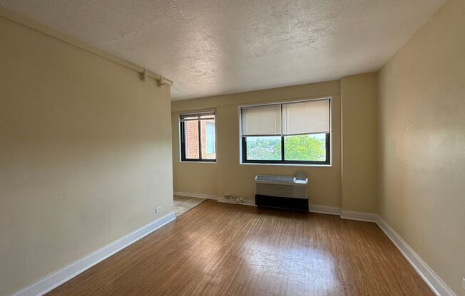 1 bed, 1 bath, 475 sqft, $895, Unit 0903