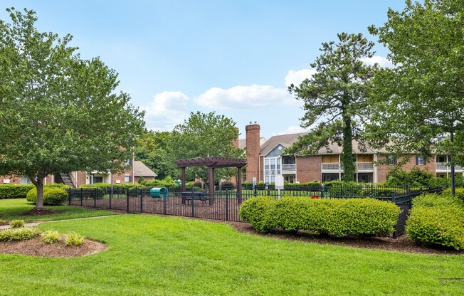 Dog Park