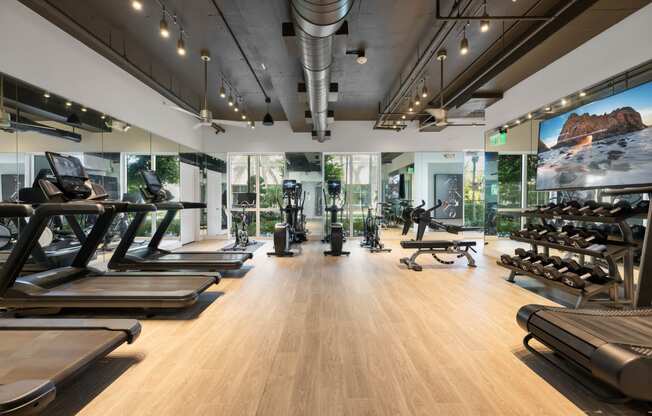a gym with treadmills and other exercise equipment