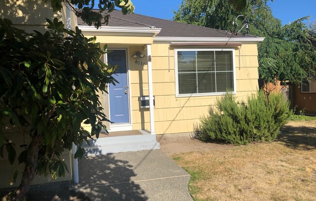 Spacious, Light and Bright Magnolia Home Next to Discovery Park!