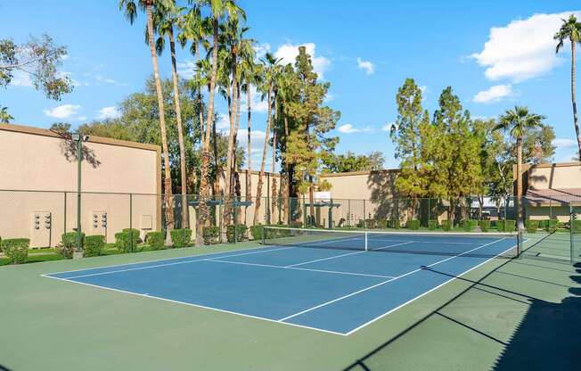 A tennis court surrounded by palm trees and buildings.