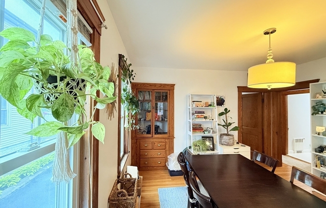 67 PINKERT ST