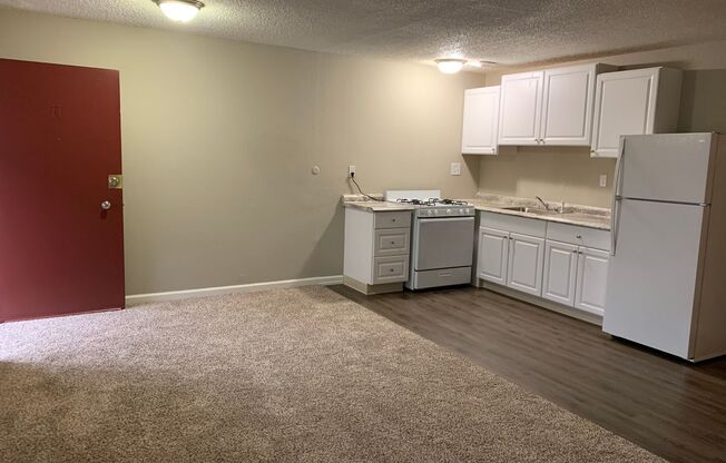 1 bed, 1 bath, 580 sqft, $1,395, Unit #5