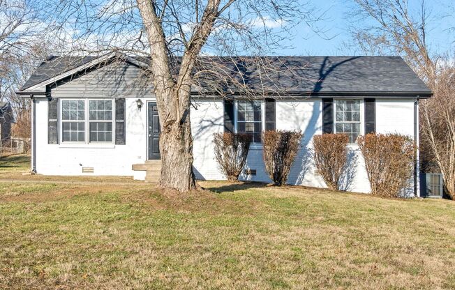 3 Bedroom Dog Friendly Home For Rent!