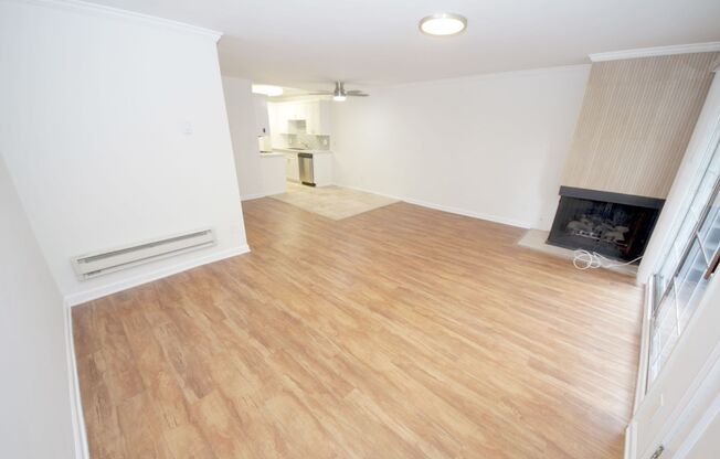 415 Venice Apartments, LLC