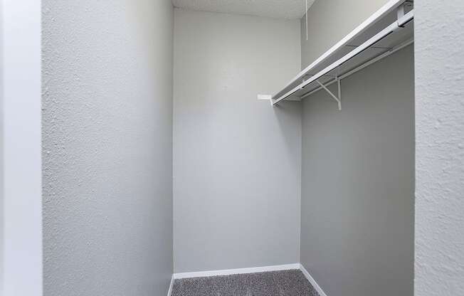 apartment with walk-in closet