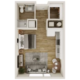 Studio, 1 bath, 539 sqft, $1,029