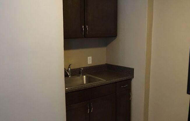 Studio, 1 bath, $600, Unit 541 S 18th St-305