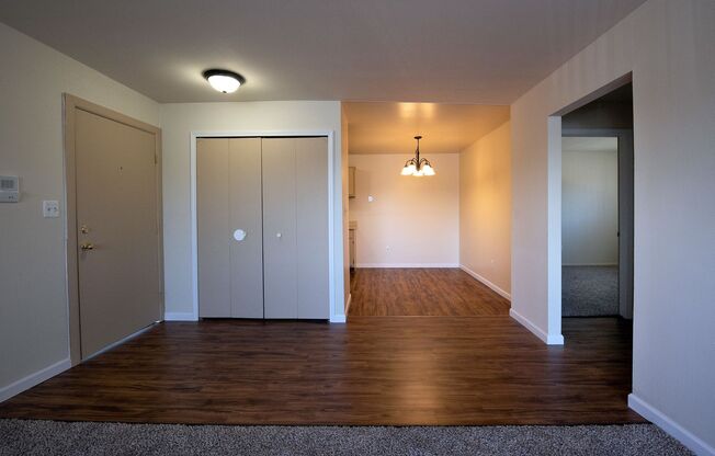 Luna Apartments