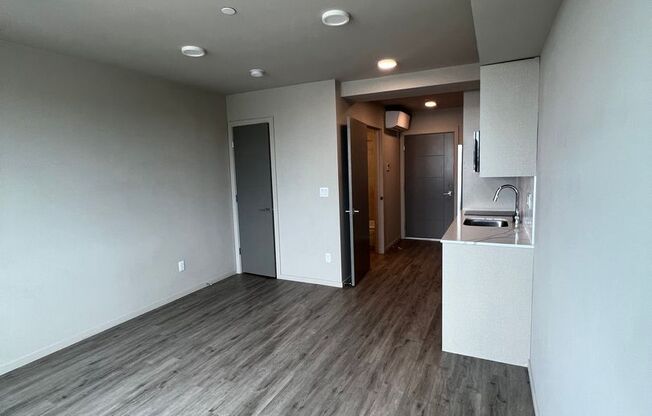 Studio, 1 bath, 318 sqft, $1,495, Unit 703