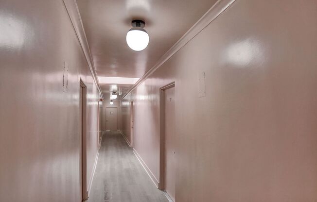 Studio, 1 bath, 235 sqft, $1,095, Unit 207