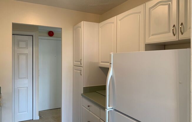 Sunny and Spacious 1BD/1BA in Lakeside of Bethesda - All Utilities Included
