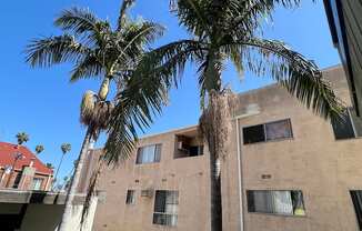 Palm trees located in courtyard from second floor  at Parc Meridien, California, 90020