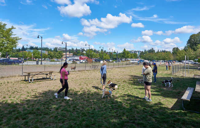 Bothell Dog Park