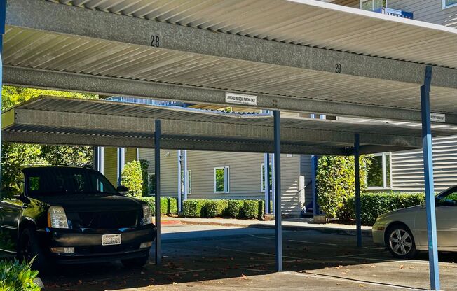 Ridgeline Apartments – Assigned Parking and In-Unit Washer & Dryer