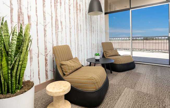 A room with a cactus, two chairs, and a table.