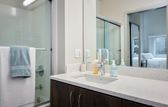 a bathroom with a sink and a shower and a mirror