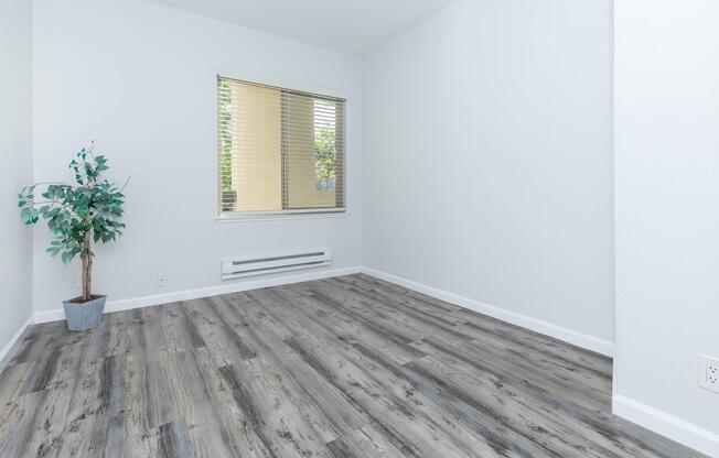 An empty room with gray wooden flooring and white walls. A small potted plant sits in the corner near a window with blinds, allowing natural light to enter. The space has a clean and minimalist appearance, with a heating unit below the window.