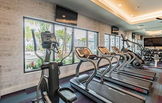 Treadmills at Edge75, Naples