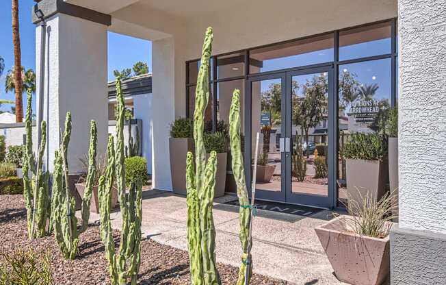 a patio with cactus in front of a building