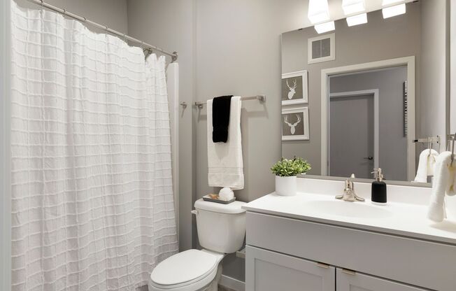 1 bed, 1 bath, 550 sqft, $1,375, Unit 307