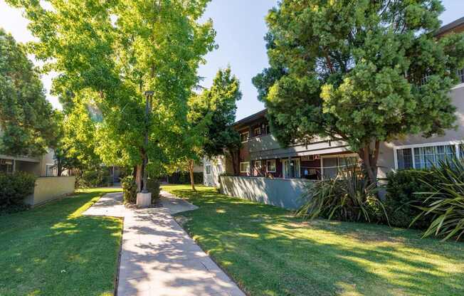 A tree-lined walkway leads to a building.
