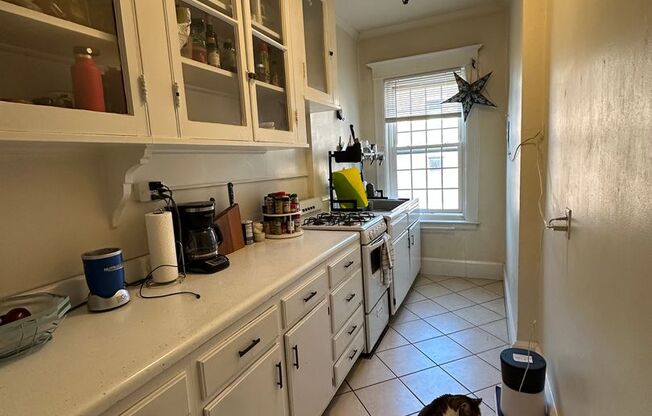 Studio, 1 bath, 525 sqft, $1,925, Unit 303