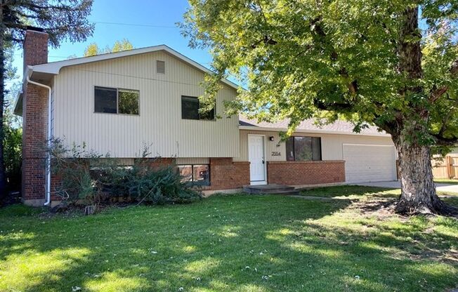 Spacious House with Huge Backyard!