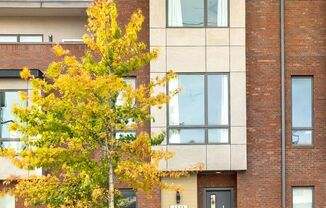 Stunning 3BE/3.5BA brownstone in the heart of historic Germantown!