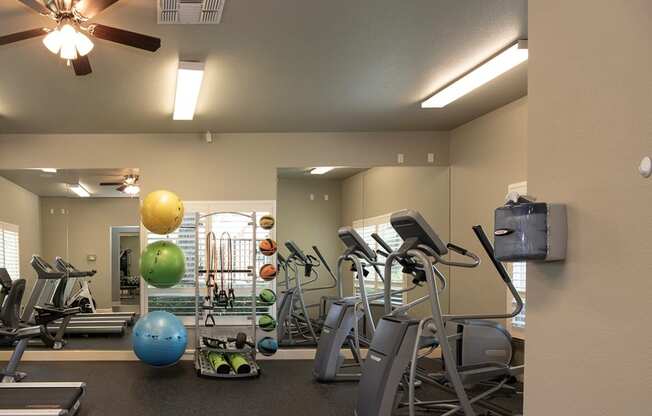 Stoneridge Fitness Center cardio machines