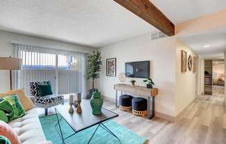 A living room with a white couch and a green rug.