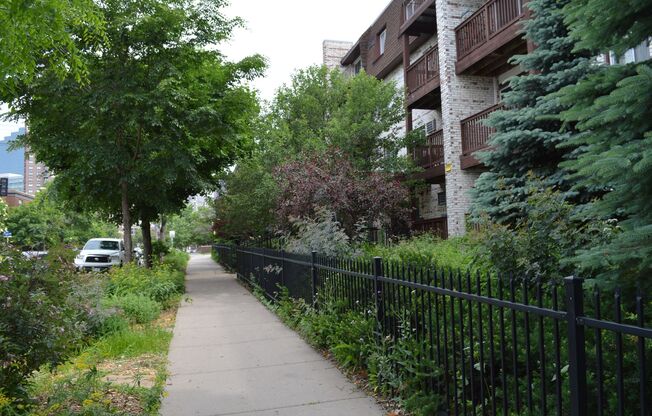 1 bed, 1 bath, 550 sqft, $1,150, Unit 409