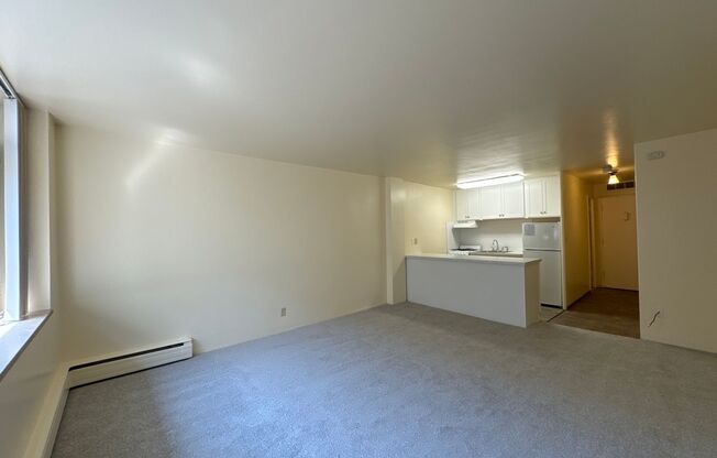 Studio, 1 bath, 360 sqft, $995, Unit 404