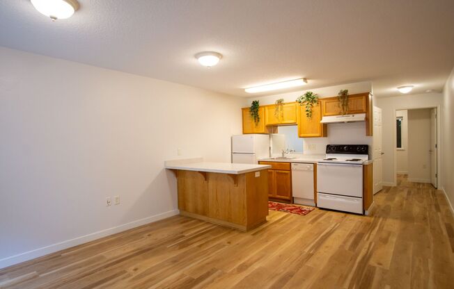 Renovated St Johns-1Bdr w/Modern Appliances + Washer/Dryer!