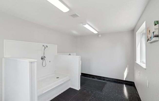 A white bathroom with a black floor and a window.