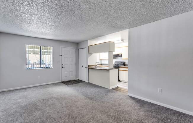 living room and kitchen