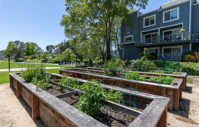 Serenity at Larkspur