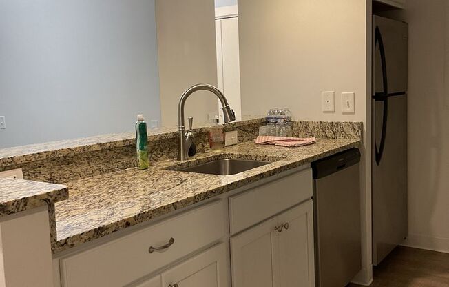 Studio, 1 bath, $1,395