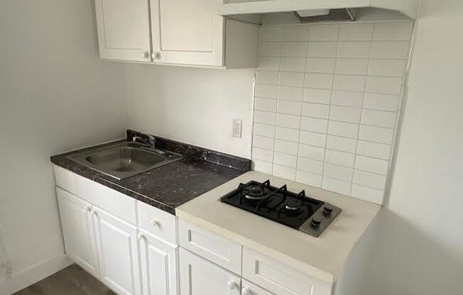 Studio, 1 bath, 255 sqft, $1,200, Unit 113